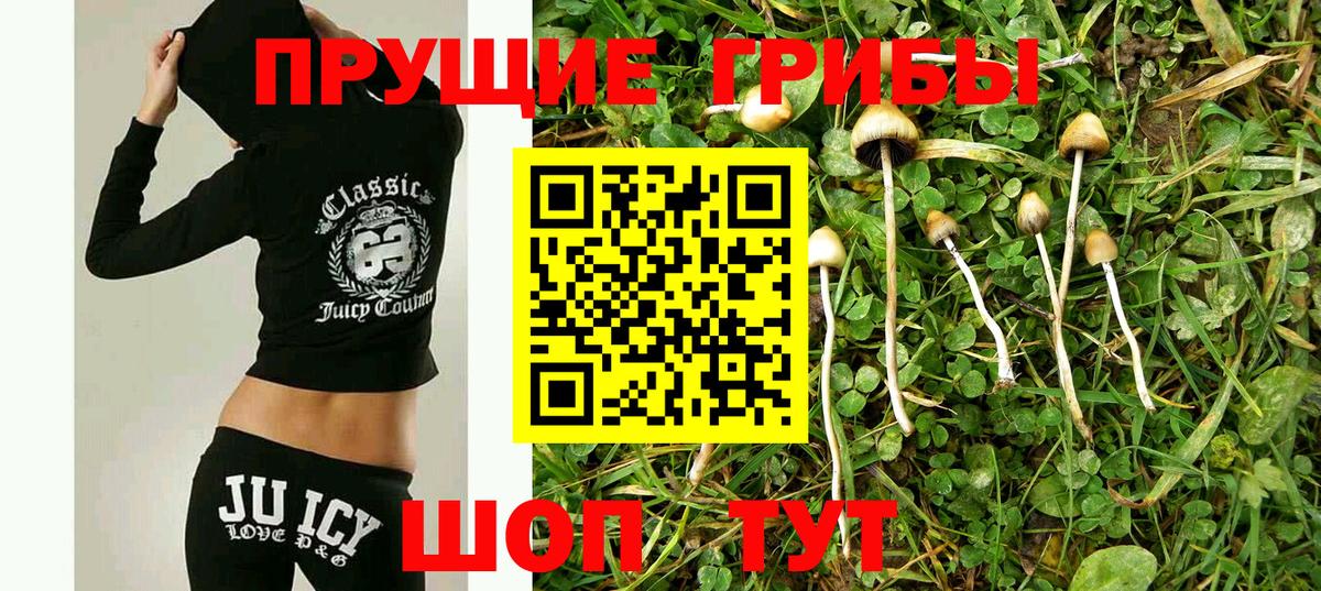 Псилоцибиновые грибы Cubensis  Галлюциногенные грибы ЛСД  Кизляр  даркнет сайт  Вход с VPN 
